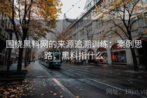 围绕黑料网的来源追溯训练：案例思路，黑料指什么