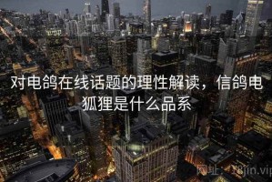 对电鸽在线话题的理性解读，信鸽电狐狸是什么品系