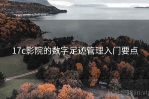 17c影院的数字足迹管理入门要点