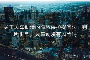 关于风车动漫的隐私保护提问法：判断框架，风车动漫有风险吗