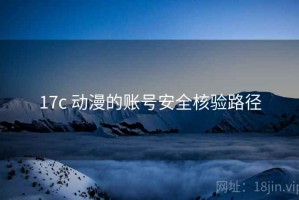 17c 动漫的账号安全核验路径