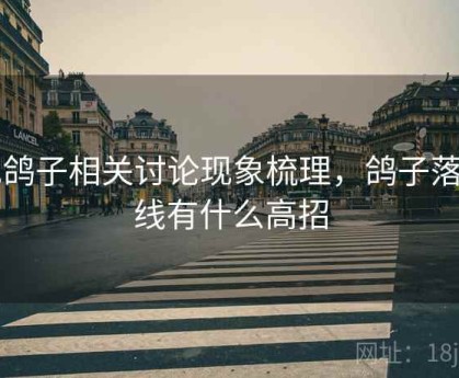 电鸽子相关讨论现象梳理，鸽子落电线有什么高招