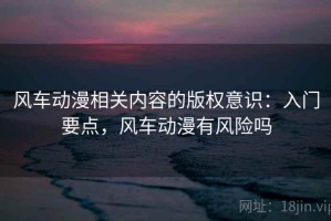 风车动漫相关内容的版权意识：入门要点，风车动漫有风险吗