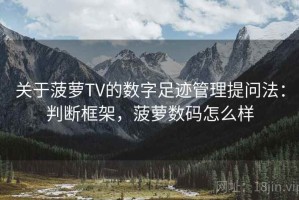 关于菠萝TV的数字足迹管理提问法：判断框架，菠萝数码怎么样