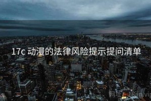 17c 动漫的法律风险提示提问清单