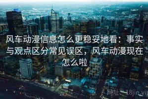风车动漫信息怎么更稳妥地看：事实与观点区分常见误区，风车动漫现在怎么啦