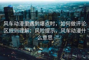 风车动漫里遇到爆点时，如何做评论区规则理解：风险提示，风车动漫什么意思