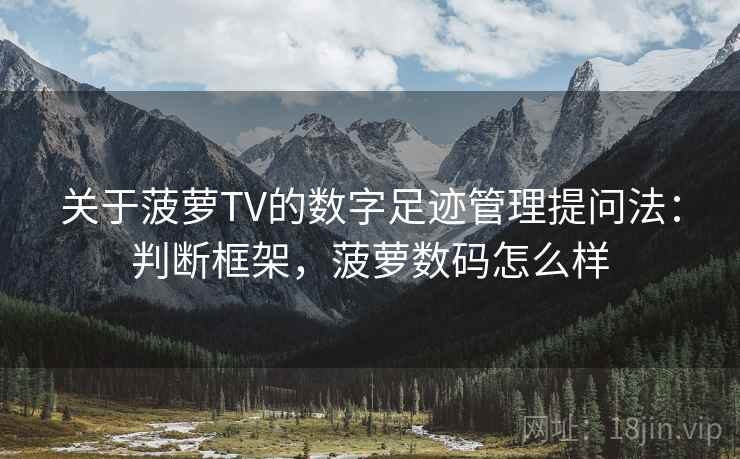 关于菠萝TV的数字足迹管理提问法：判断框架，菠萝数码怎么样