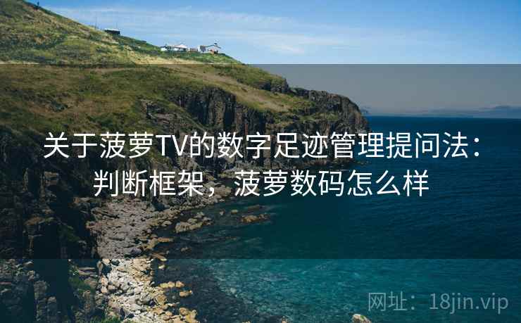 关于菠萝TV的数字足迹管理提问法：判断框架，菠萝数码怎么样