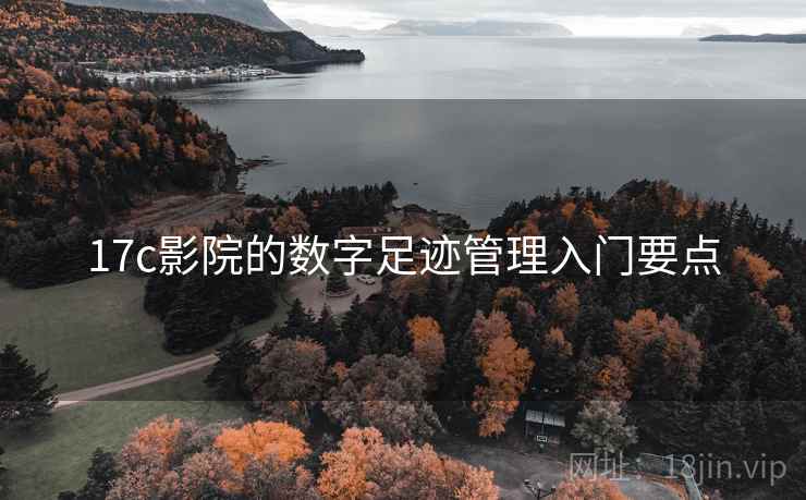 17c影院的数字足迹管理入门要点
