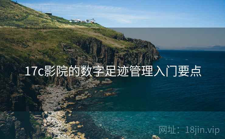 17c影院的数字足迹管理入门要点