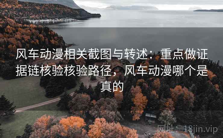 风车动漫相关截图与转述：重点做证据链核验核验路径，风车动漫哪个是真的